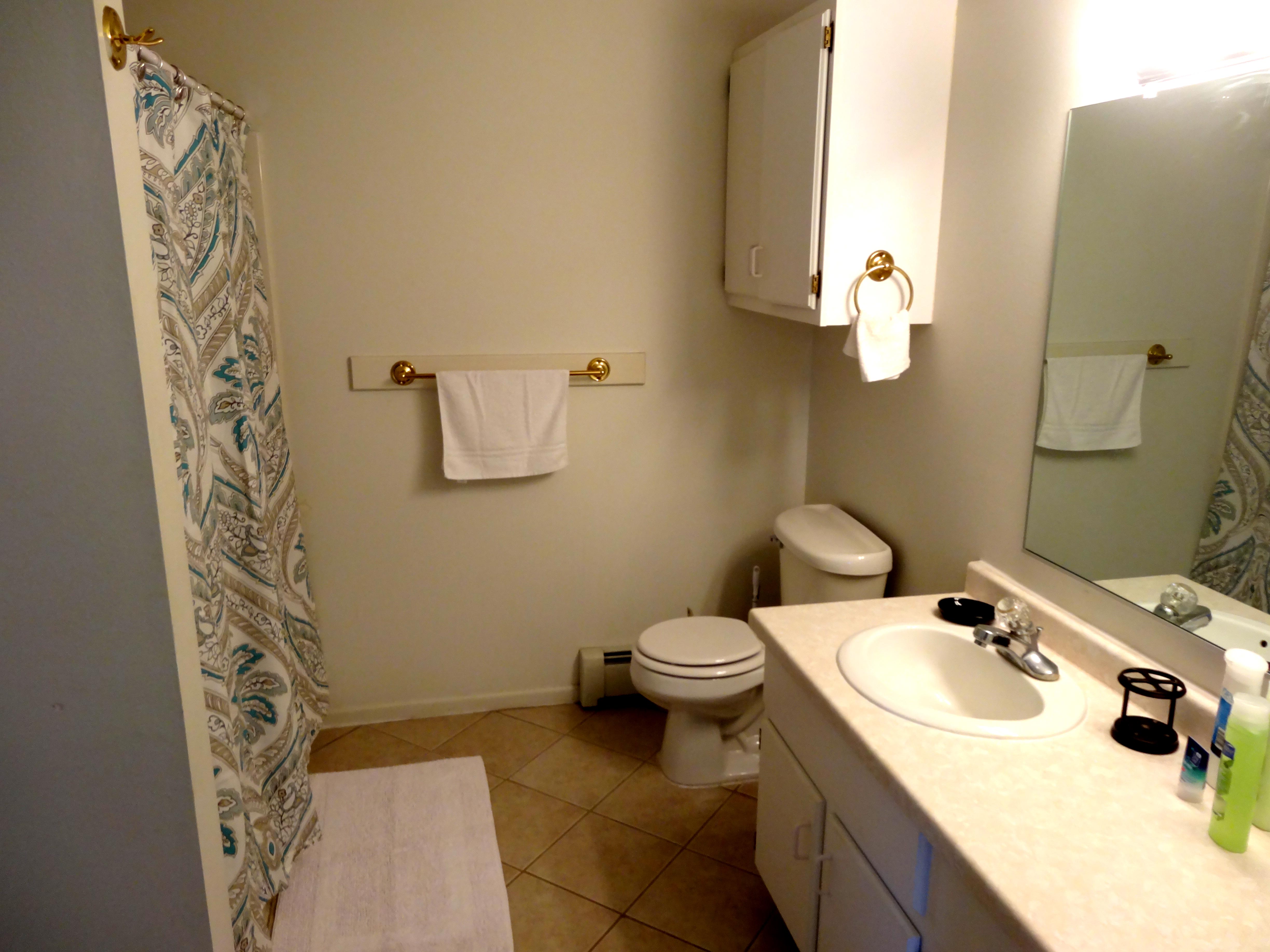 shower-curtain-with-tiolet-and-sink-view-of-bathroom