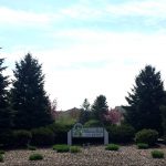 allman-park-sign-place-in-rock-garden-surrounded-by-trees