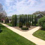 grass-and-shrubs-at-allman-park-condos