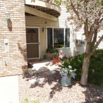 lower-patio-with-potted-plants