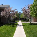 long-side-walk-between-apartment-buildings